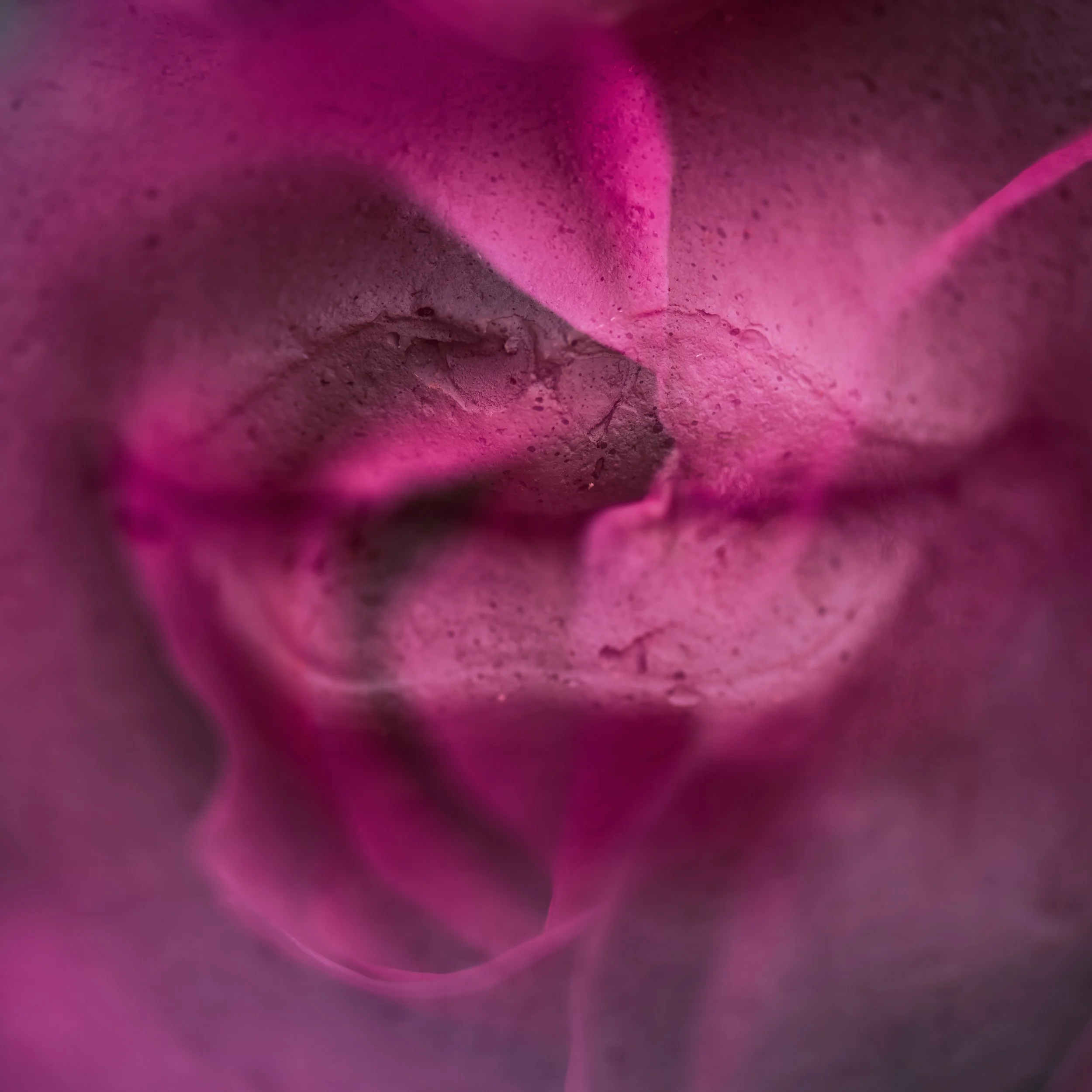 STACI SMITH - Natures Whisper