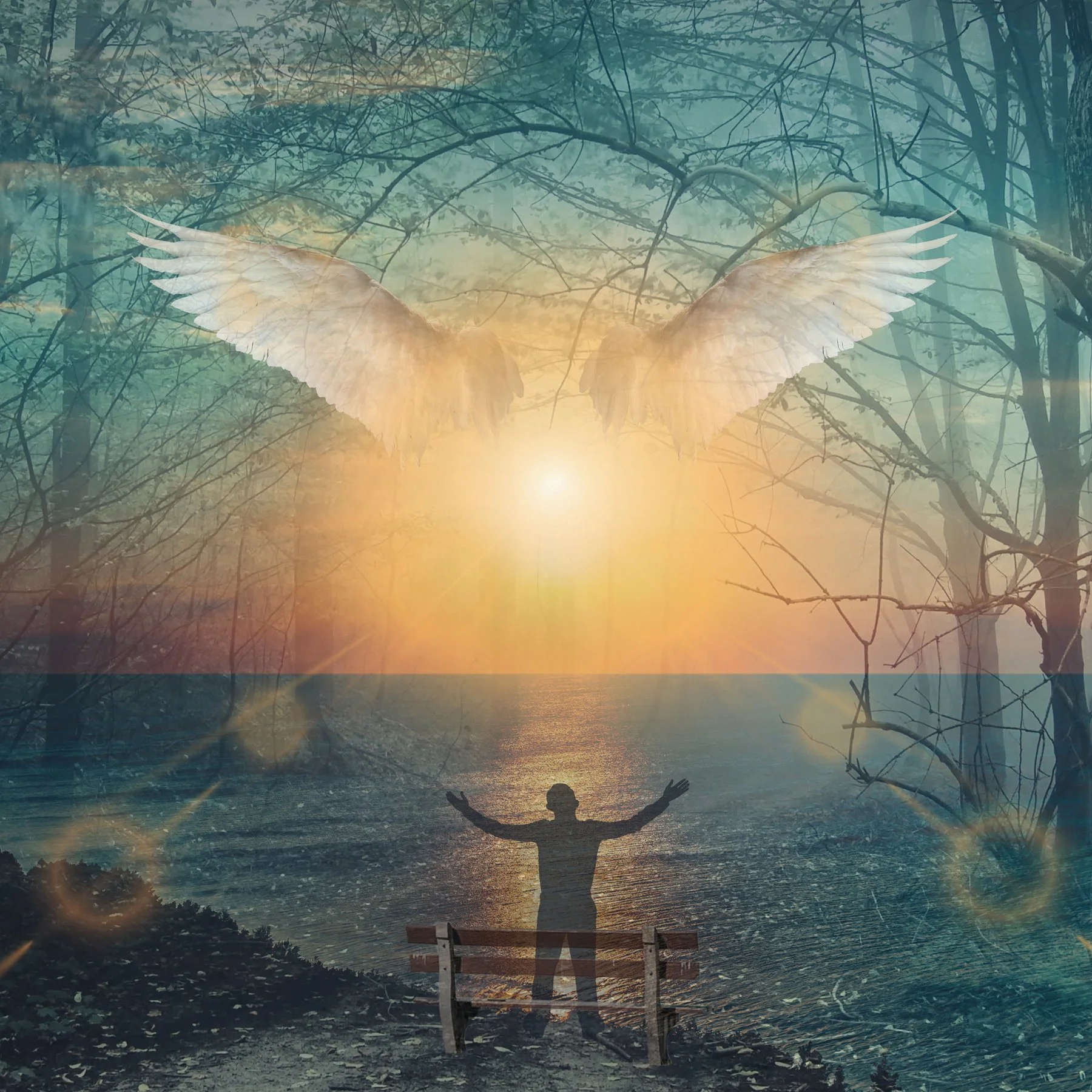 BILL BRIMM - Calling All Angels