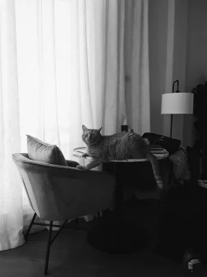vsco615f36b320c5d.jpg