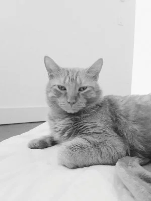 vsco5f7e14b199e07.jpg