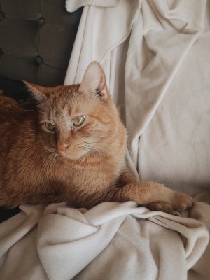 vsco5f2800ec37e55.jpg