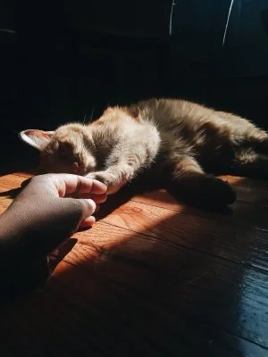 vsco5f29b9cf443f7.jpg