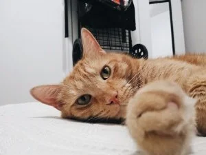 vsco5f29bb3f50324.jpg