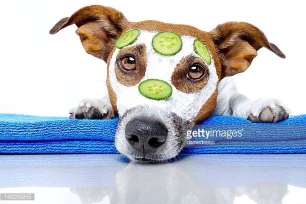 Why is it so hard to look after ourselves?