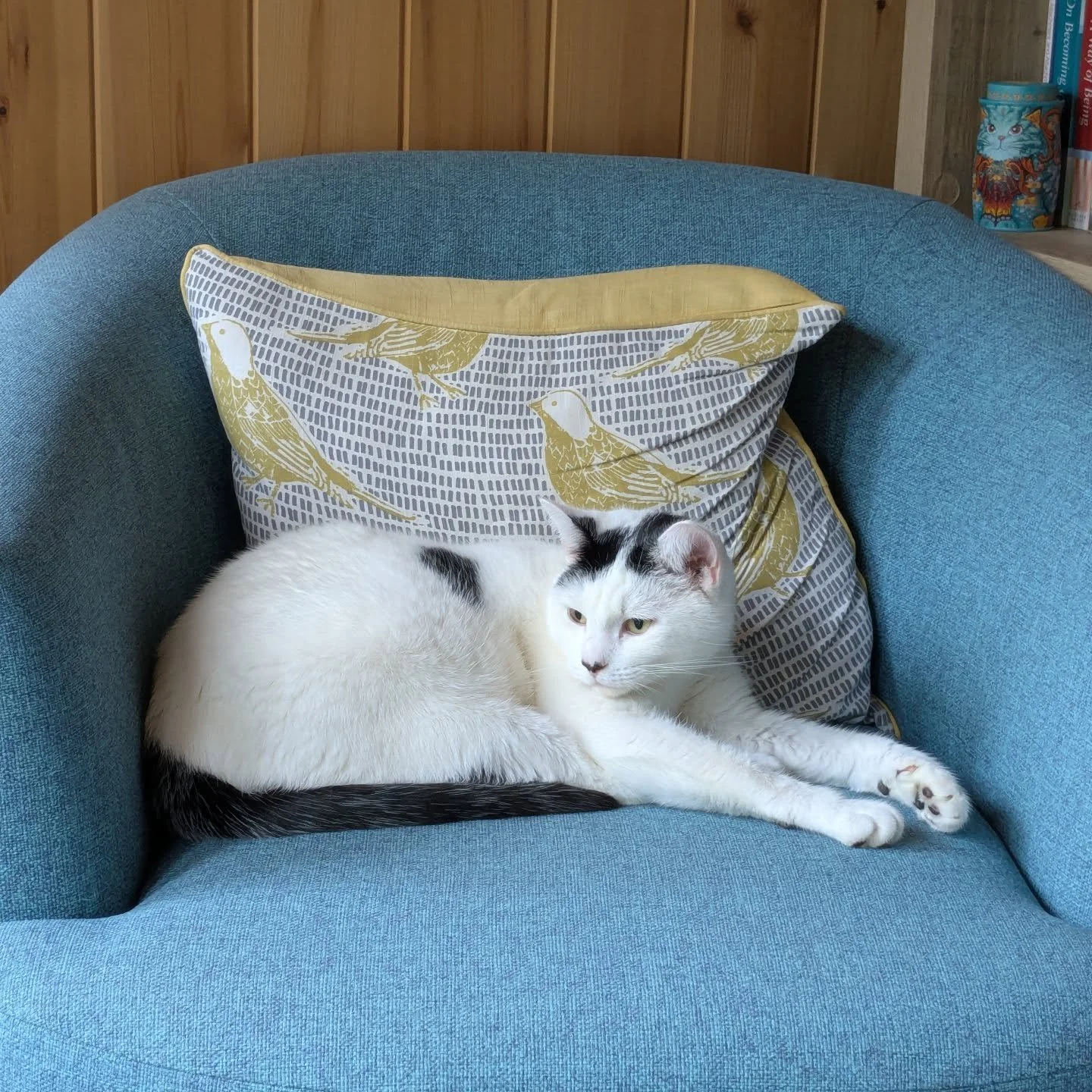 It is with a very broken heart I share that one of our cats, Annabel, frequenter of my studio, died at the weekend. She will be missed so much by us, but also by some of my clients, who were fond of her popping in. 

#catsofınstagram #therapycat #lov