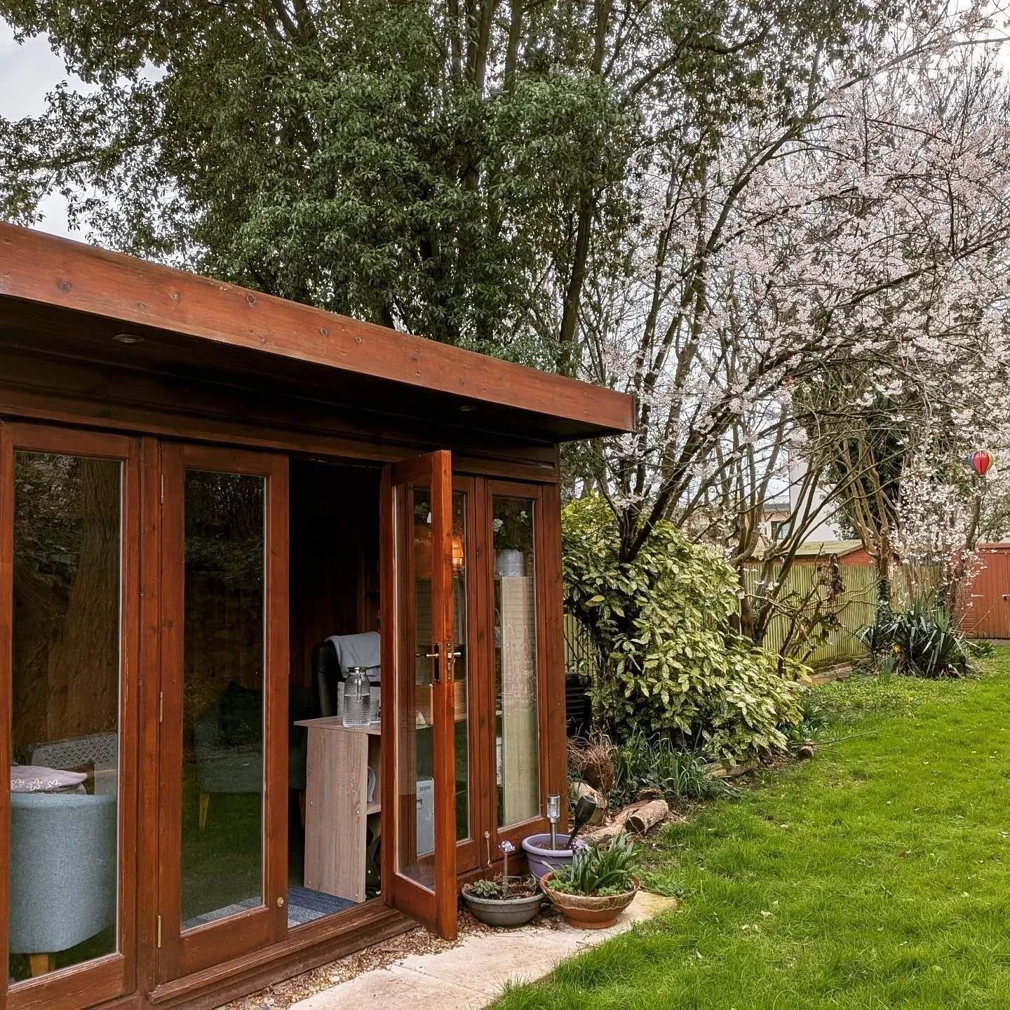 Beautiful blossom 🌸 outside the studio