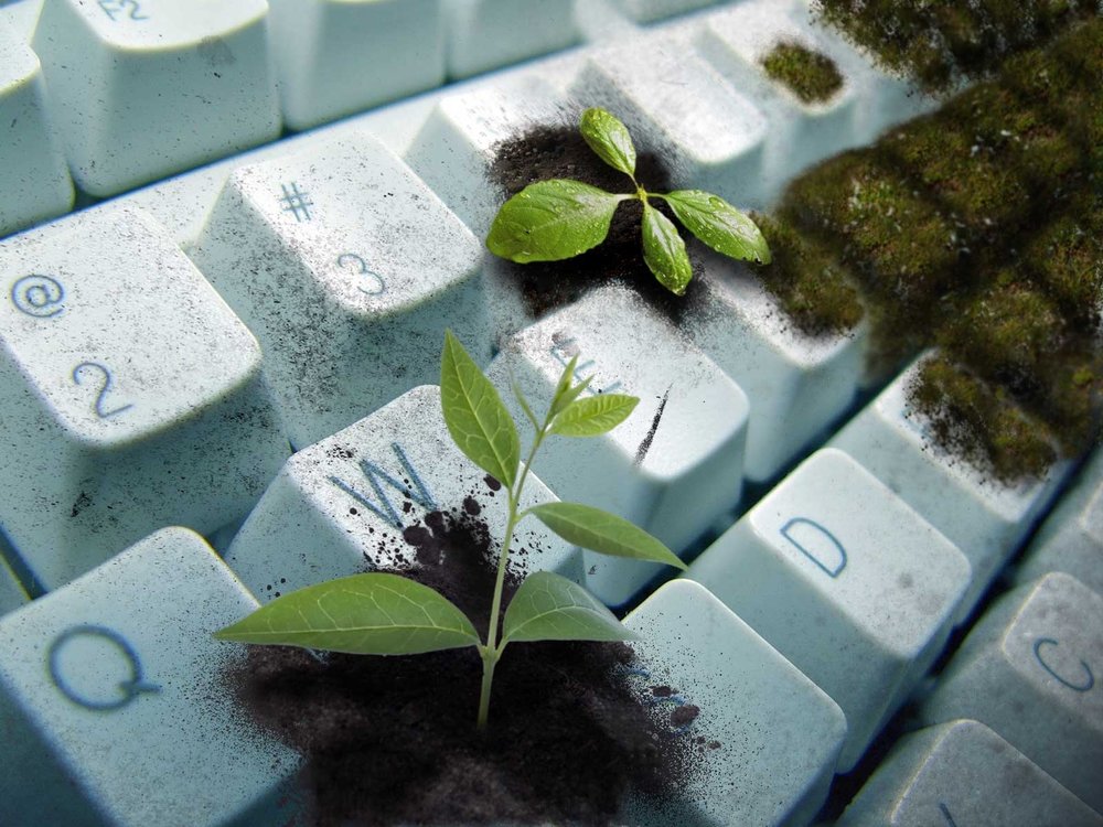 nature-coding.jpg
