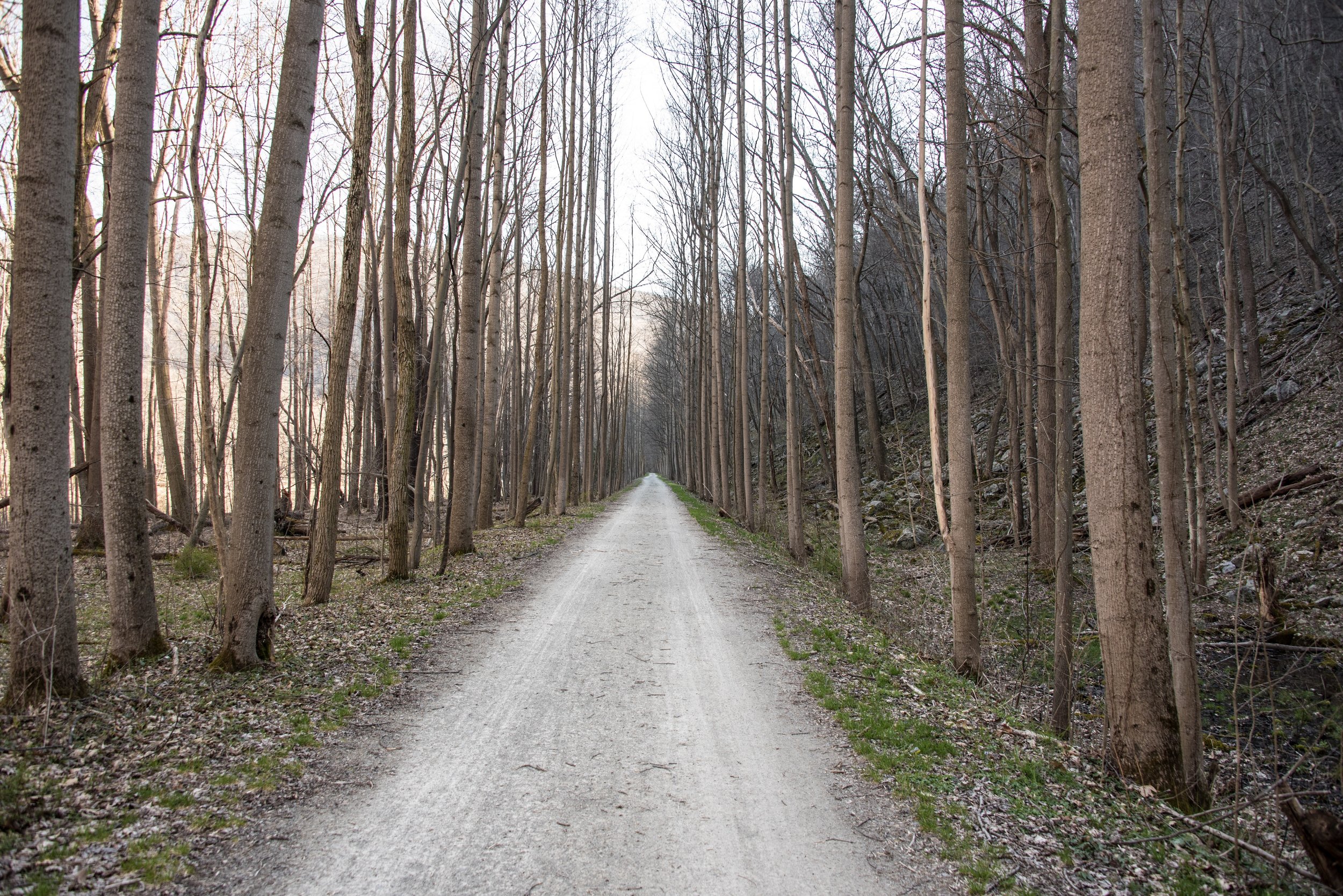 A typical over-the-handlebars view of the Great Allegheny Passage: pretty yet monotonous.