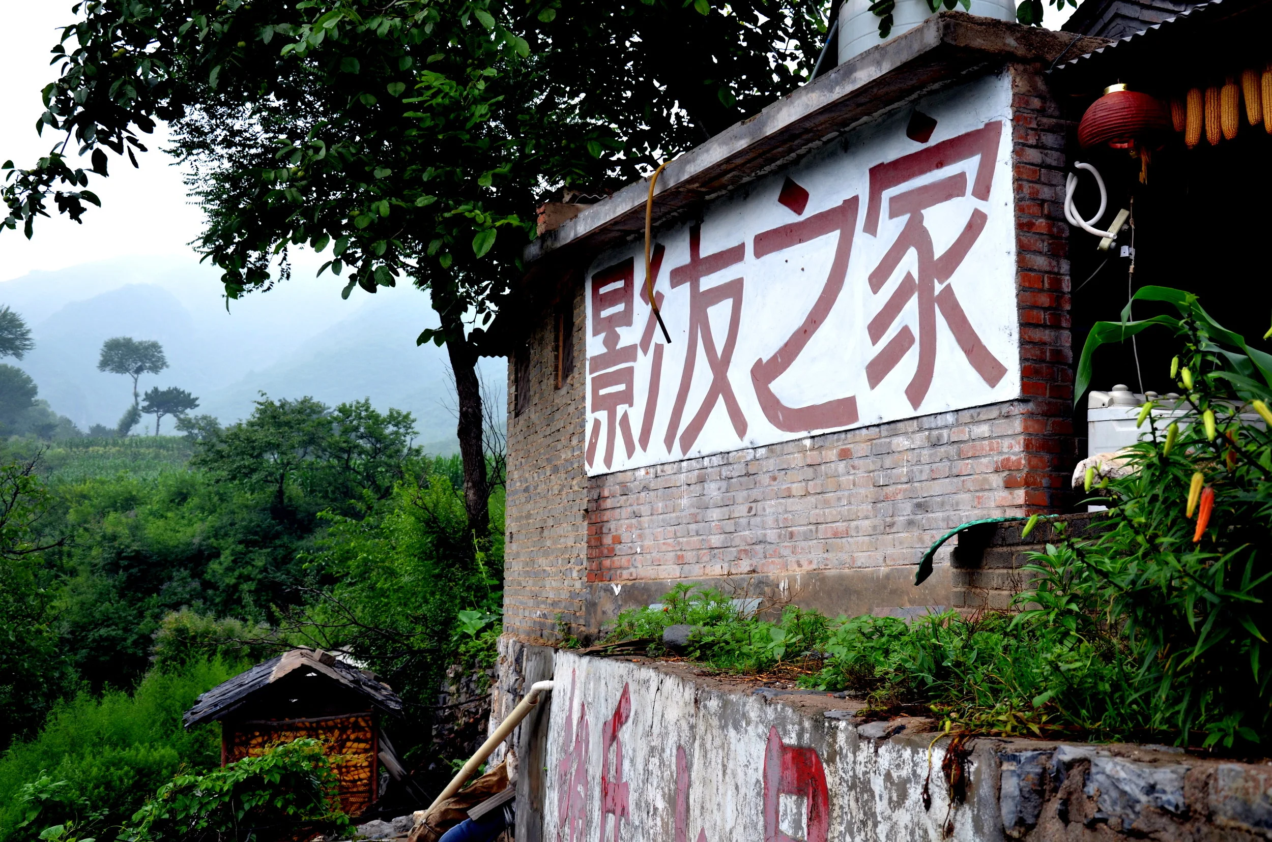 In China, the Mandarin word for vegetarian doesn't mean "without meat," but simply "with vegetables." As such—even if you can pronounce it correctly—you may be told that a dish with beef or poultry is vegetarian as long as it has a little broccoli in it too. But if you manage to find a way to communicate that you don't want meat or dairy, the vegetarian and vegan food is fresh and delicious.