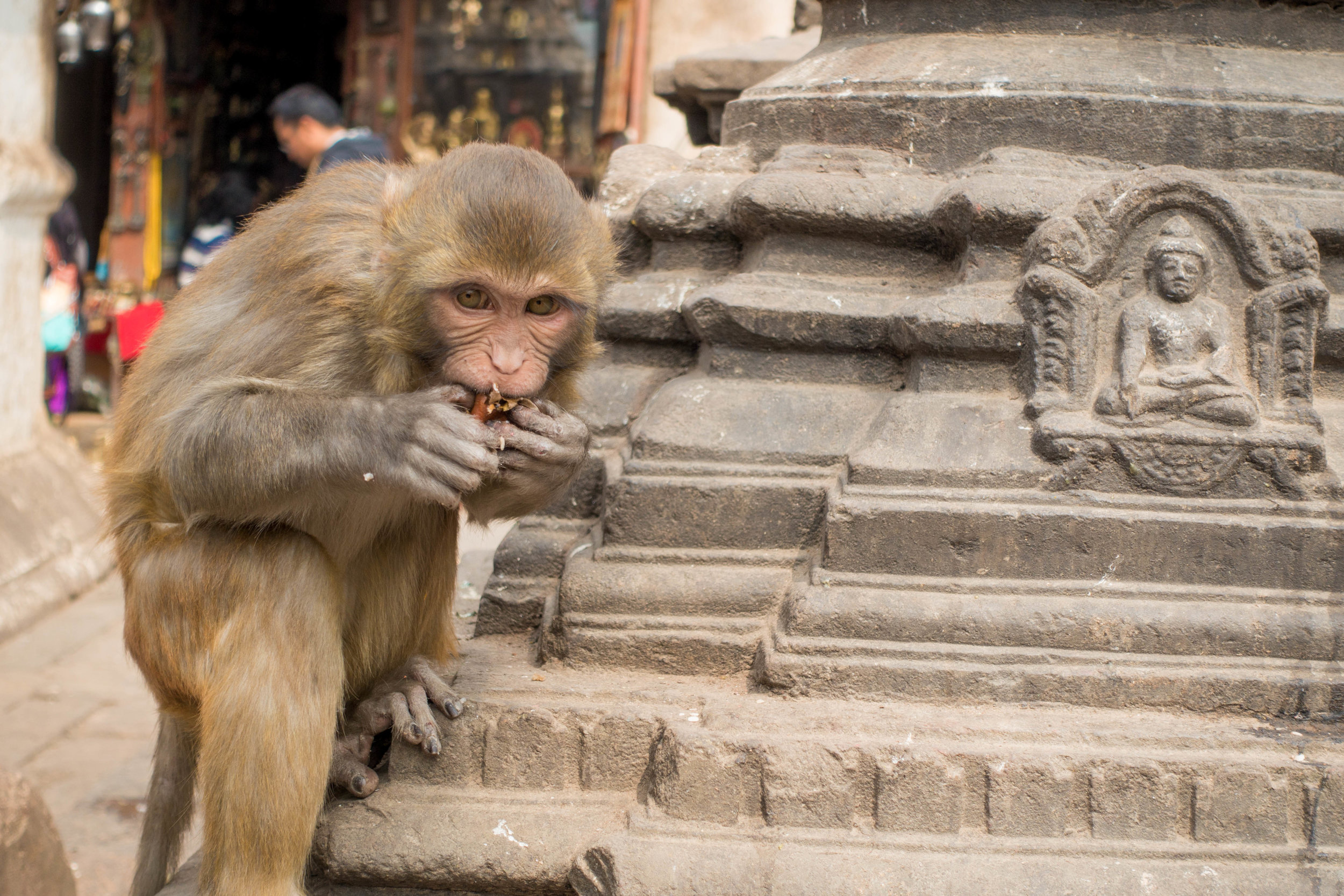 Kathmandu, Nepal. Shot on point-and-shoot (Sony RX100M3).