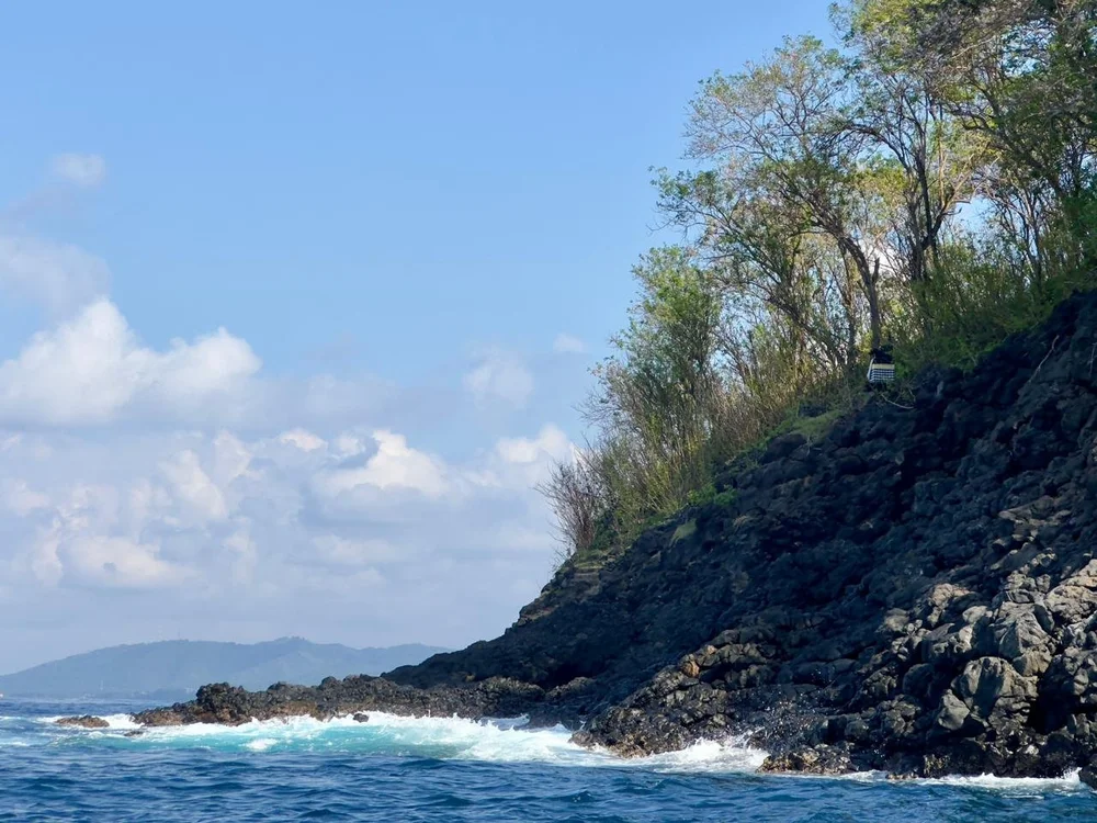 254b6d4c-f080-4019-abeb-44bccef956d6 2.JPG