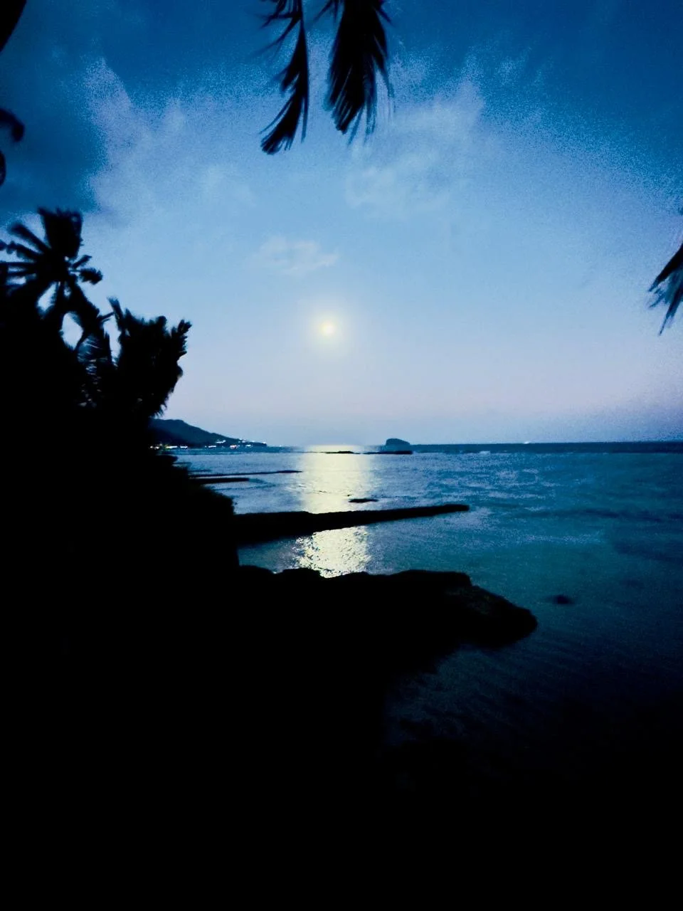 0726965a-ff8f-46ff-afac-f1122c41910e 2.JPG