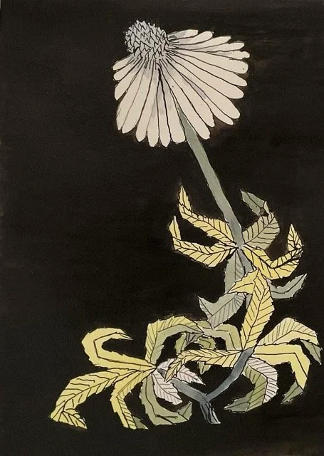 IMG_6941 Medium.jpeg