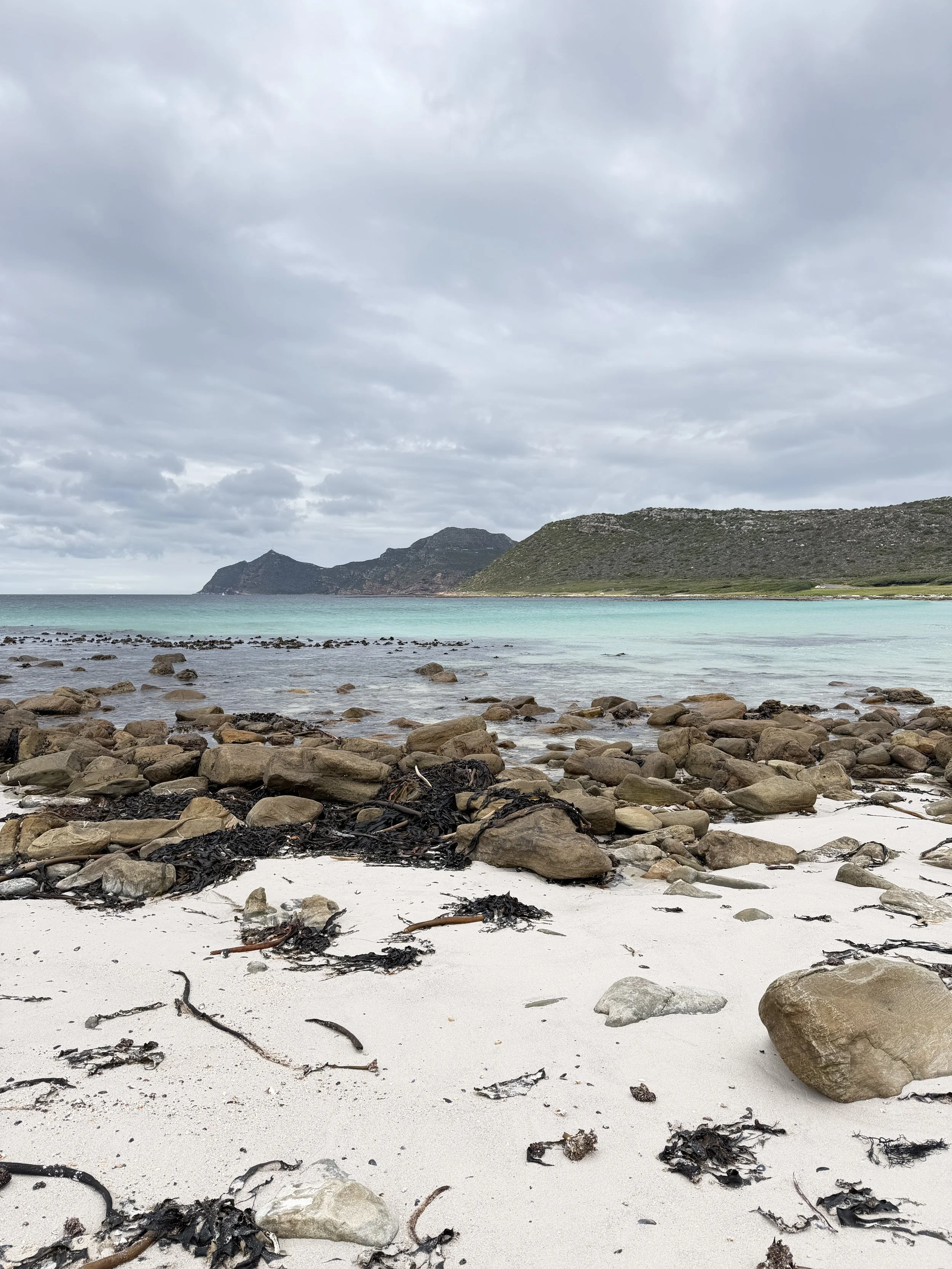 💐 Spring has sprung