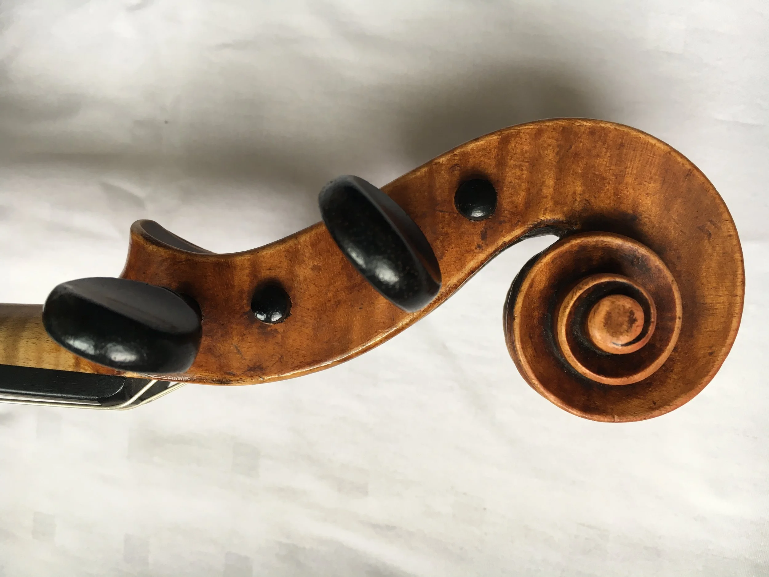 Sponsor a viola scroll Price: £150