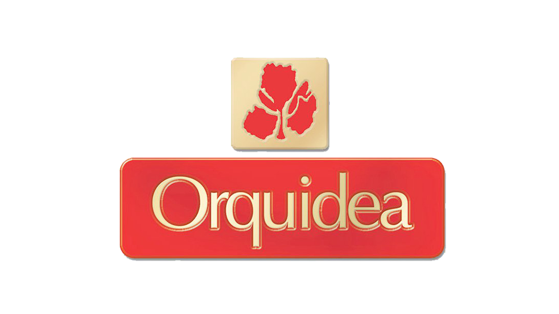 Orquidea.jpg