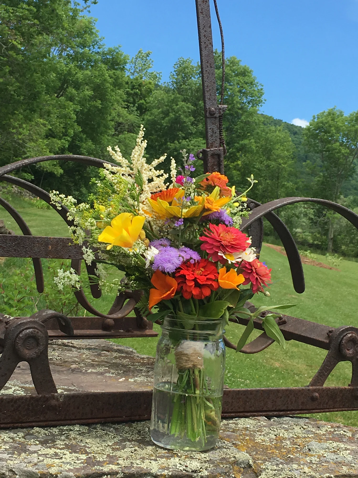 Bouquet2769_1500px.jpg