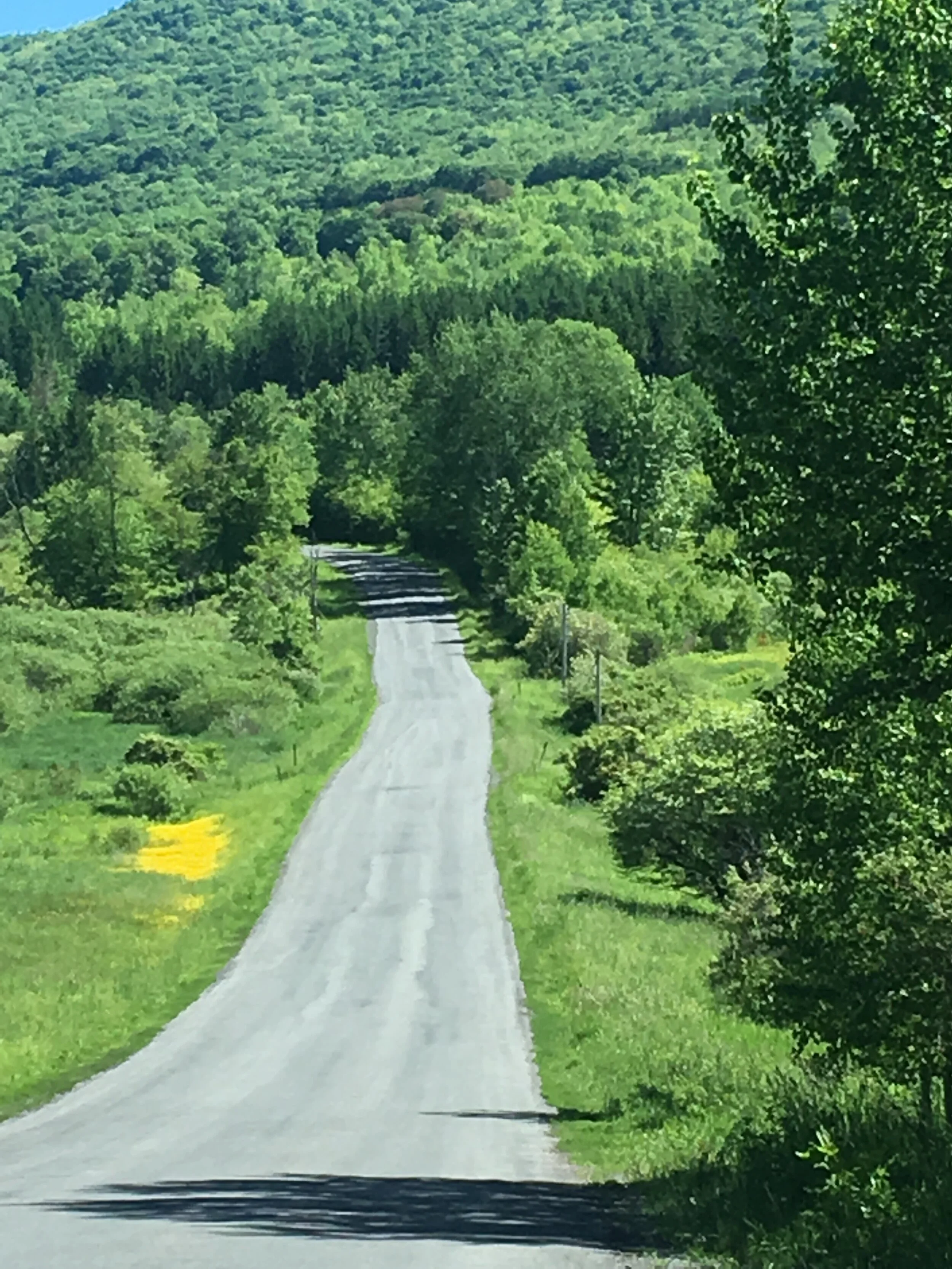 The road to The Inn at West Settlement 