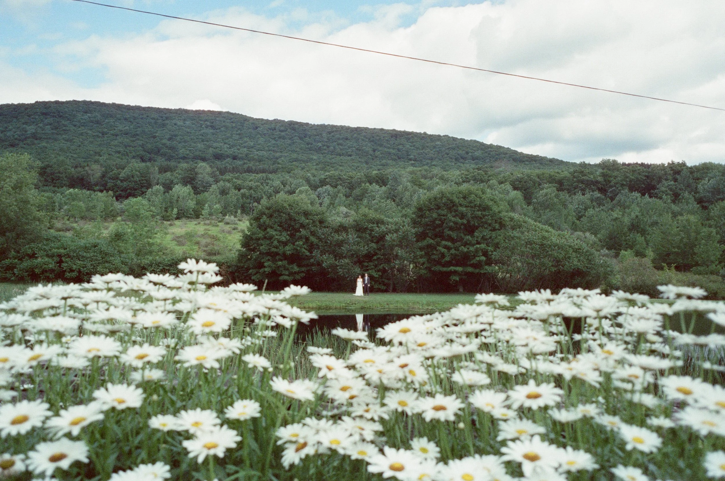 Flower farming 