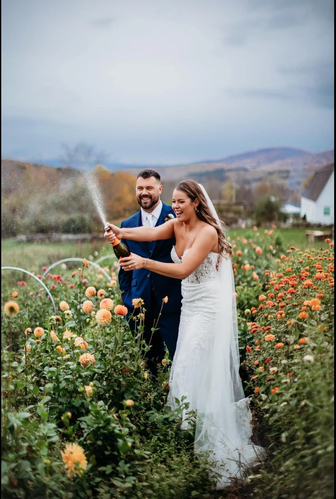Dahlias in our gardens. 