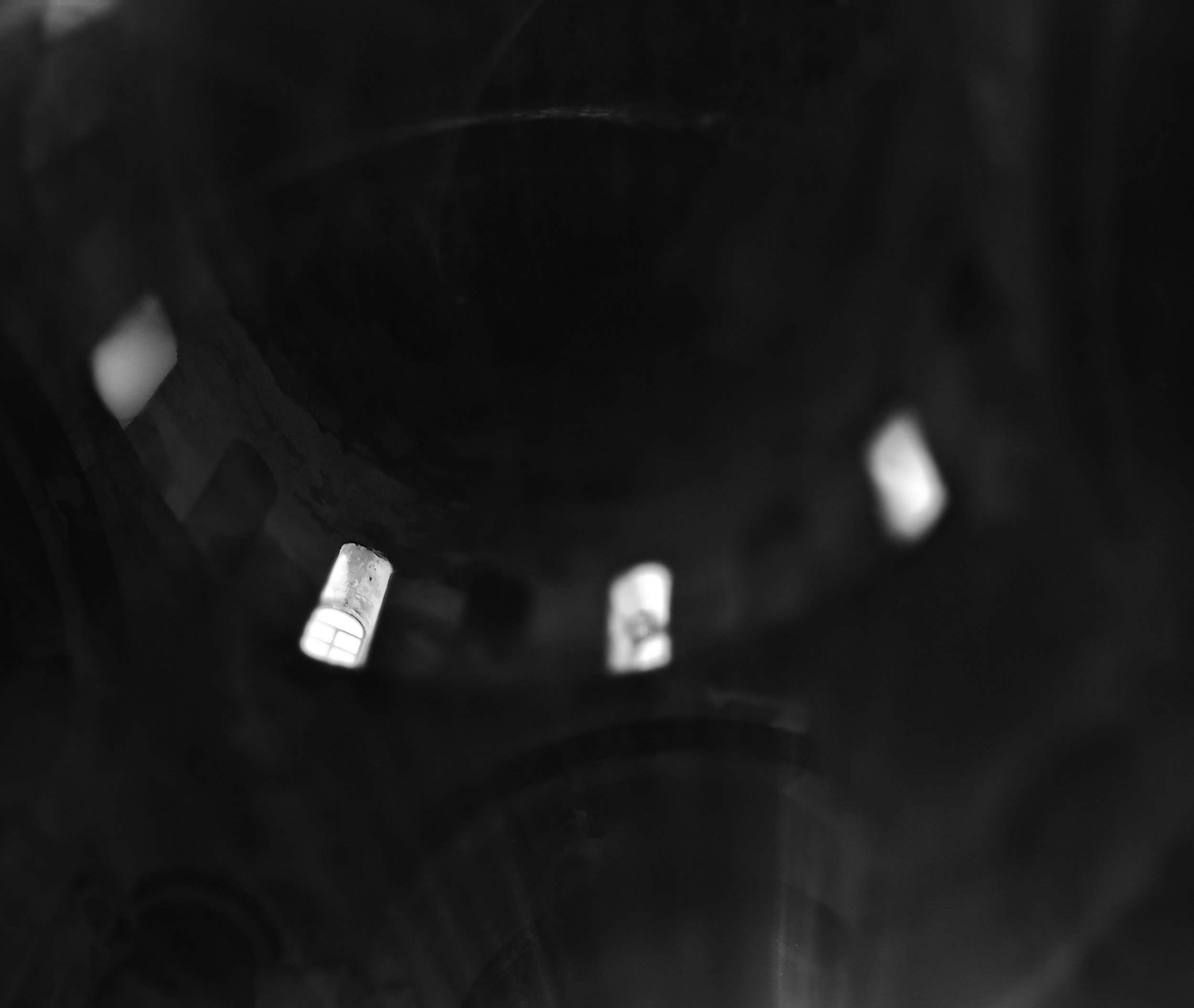 013 image crop.jpg