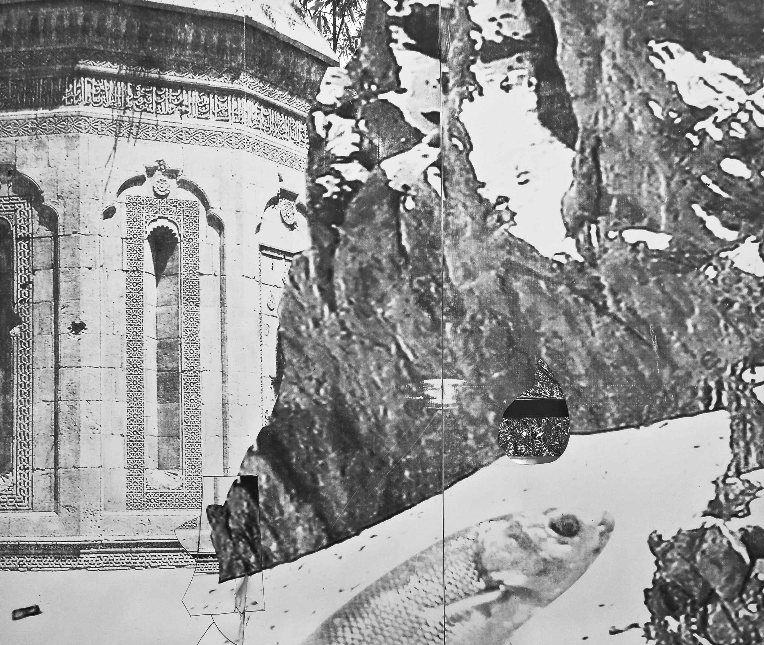 018 large crop After text edit.jpg