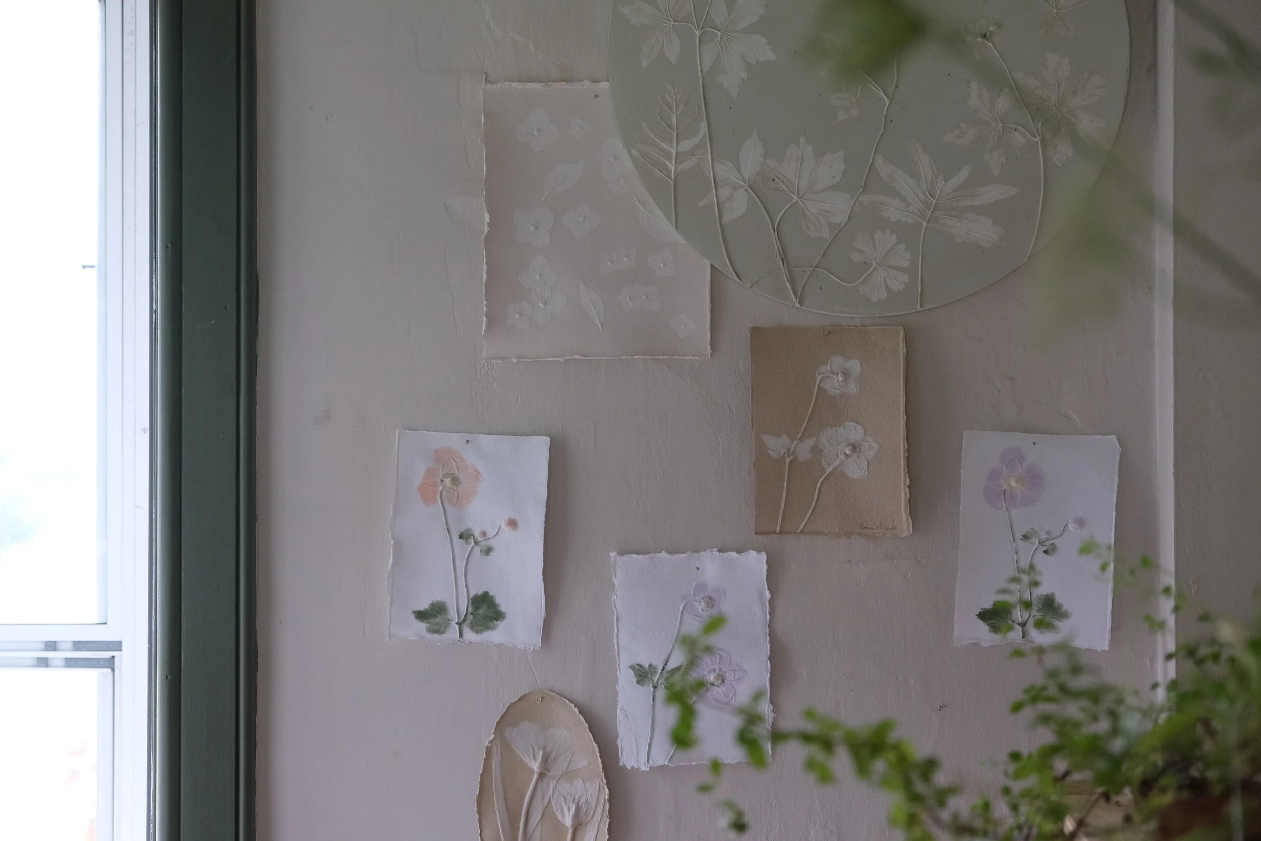 ronni nicole website