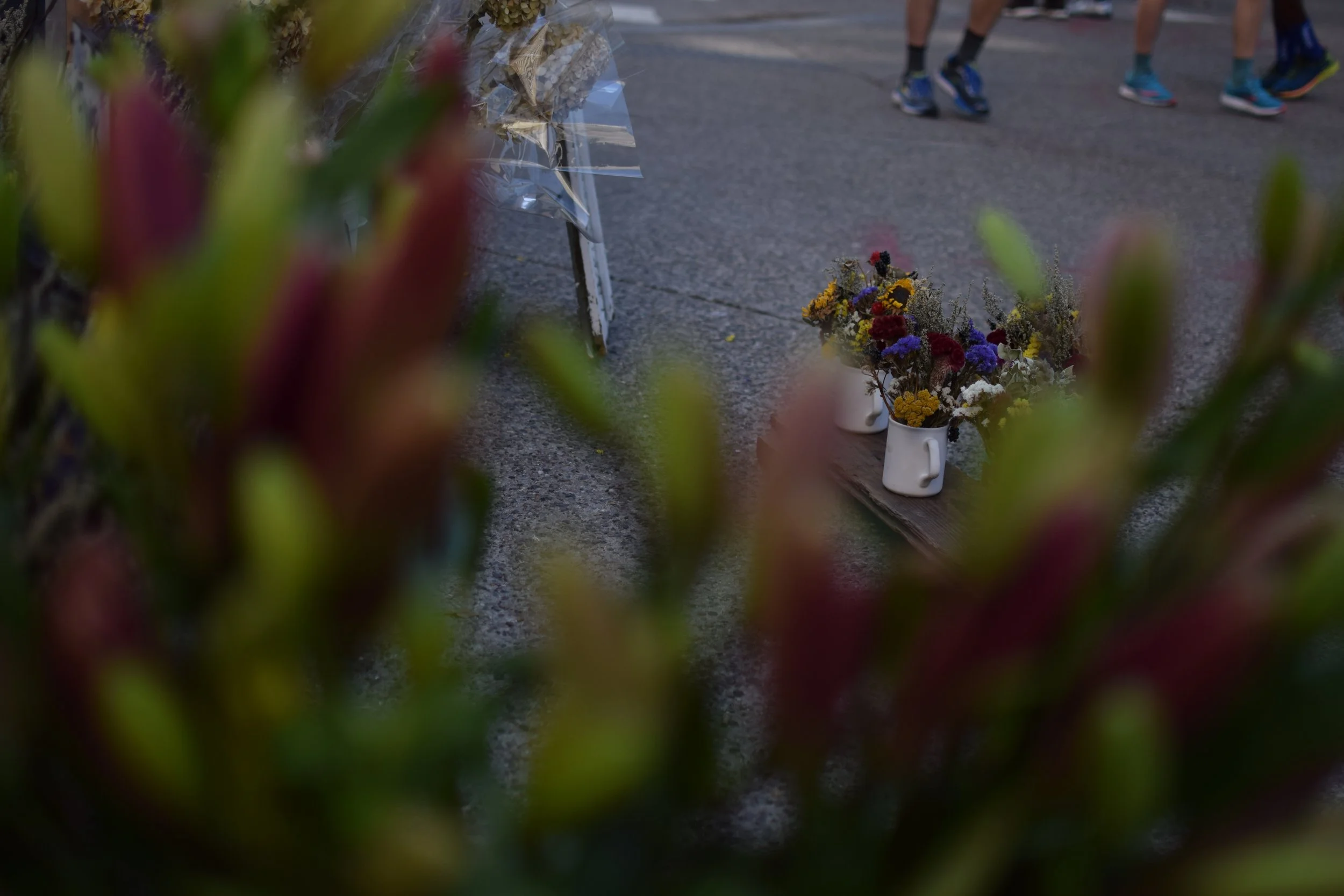 DSC_1669.jpeg
