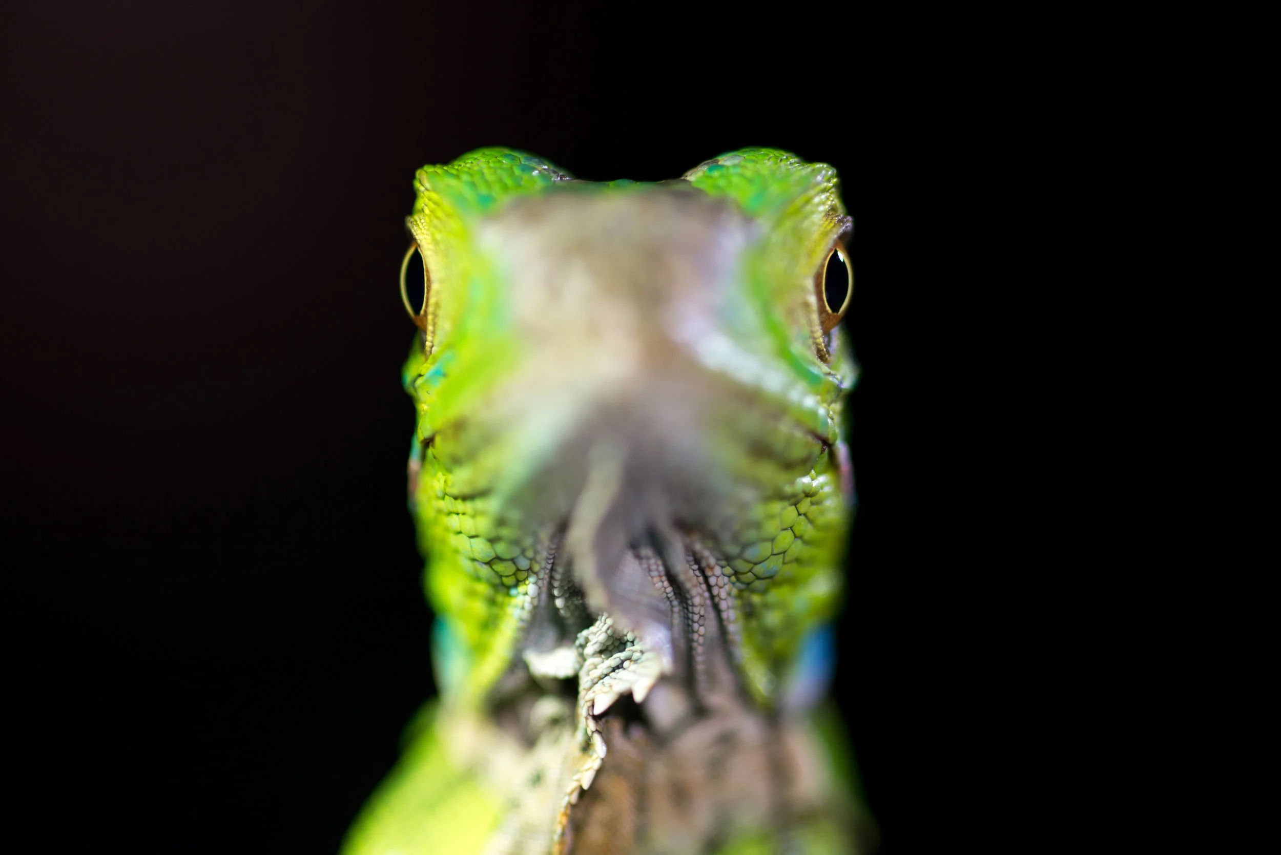 DSC_6688.jpg
