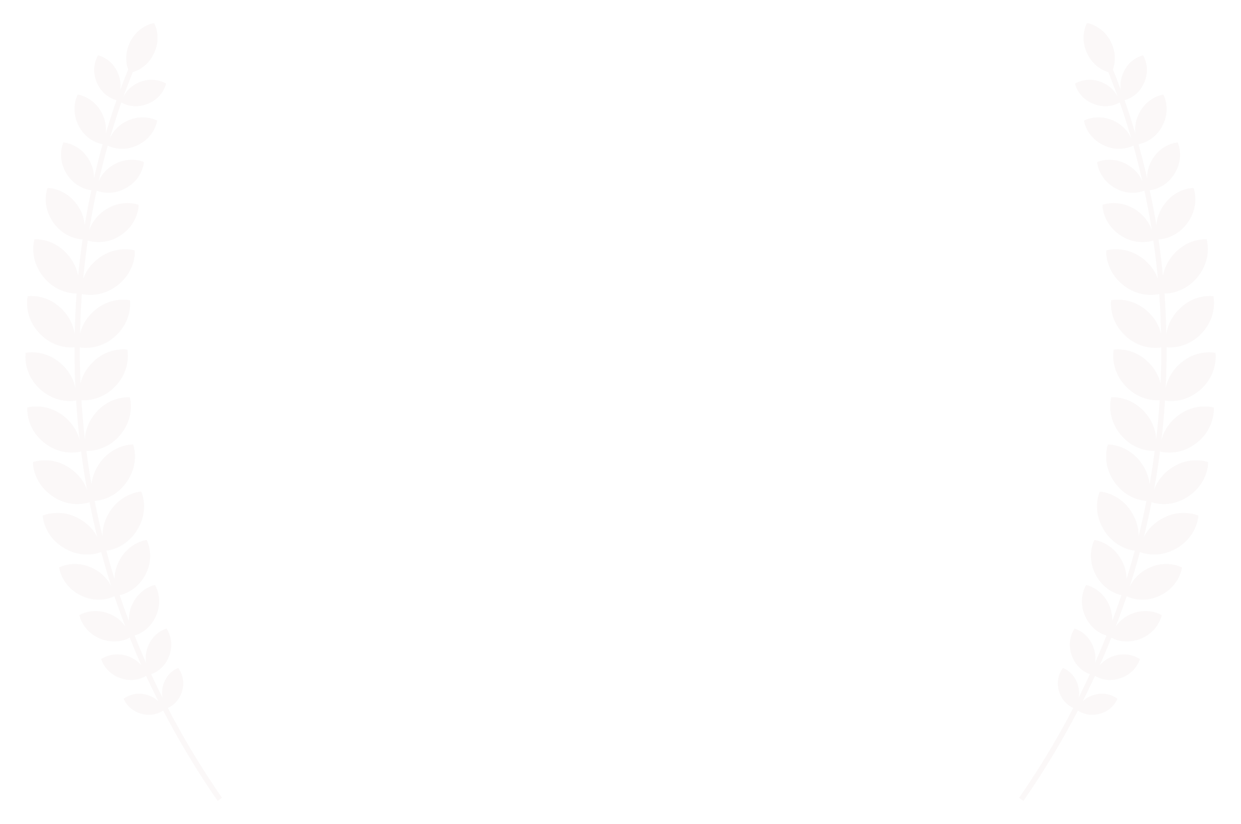 FINALIST-WildlifeVaasaFestival-InternationalNatureFilmFestival-2016 copy.png