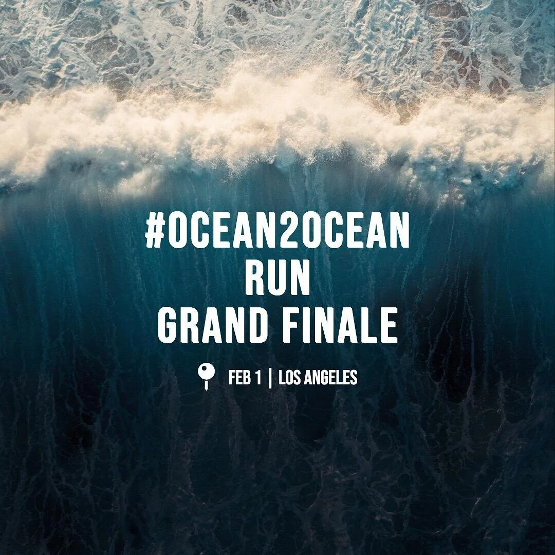 grand+finale.jpg