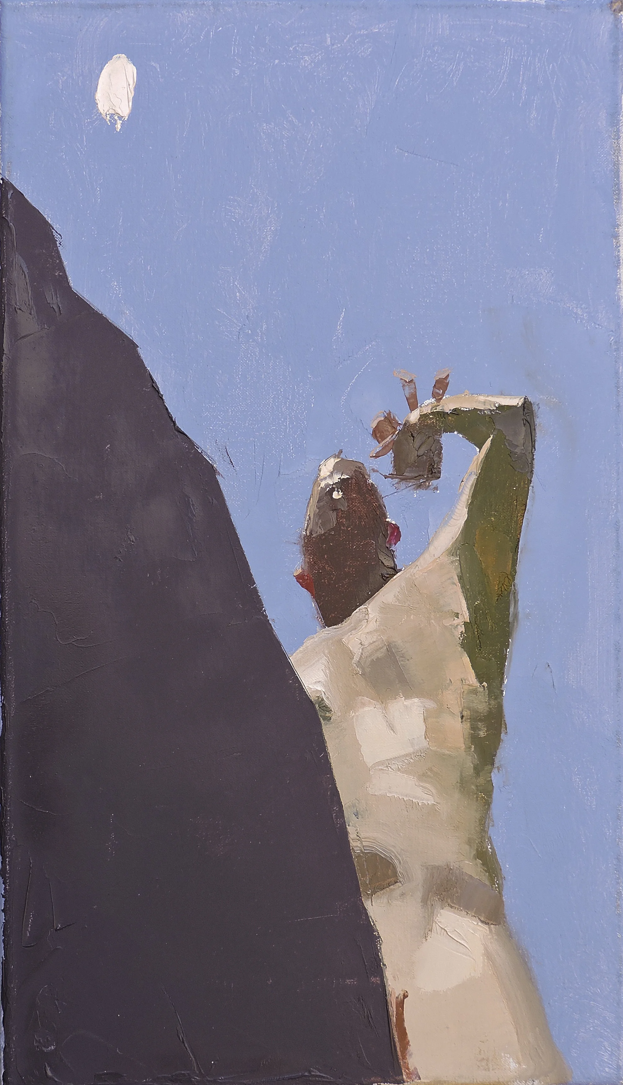 Ambush 7x12" 2013