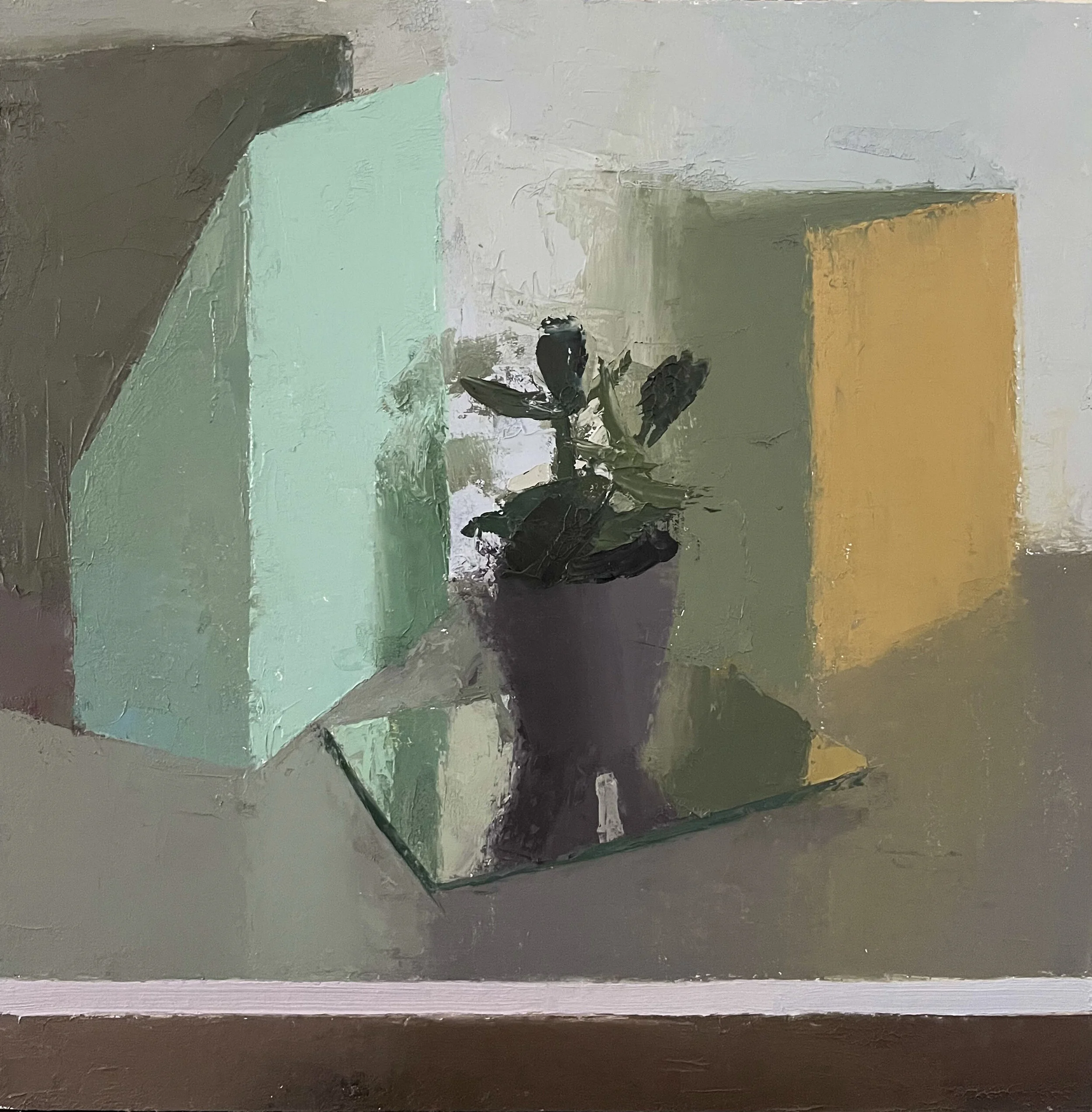 A Poo-poo Plant  12x12"  2020