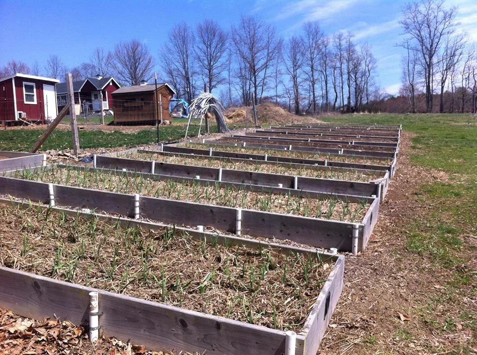 Spring Planting