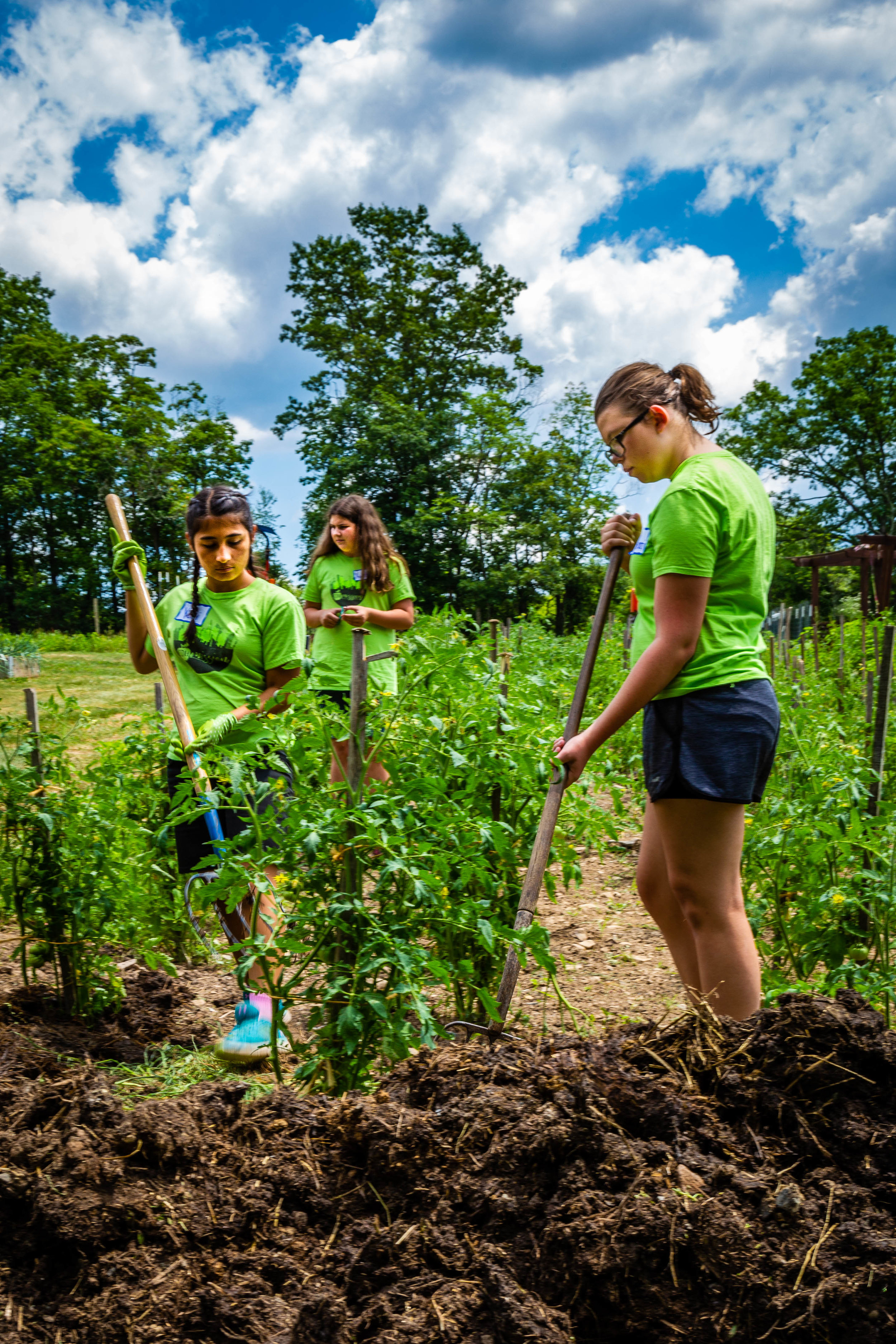 Garden of Giving-20180713-125258.jpg