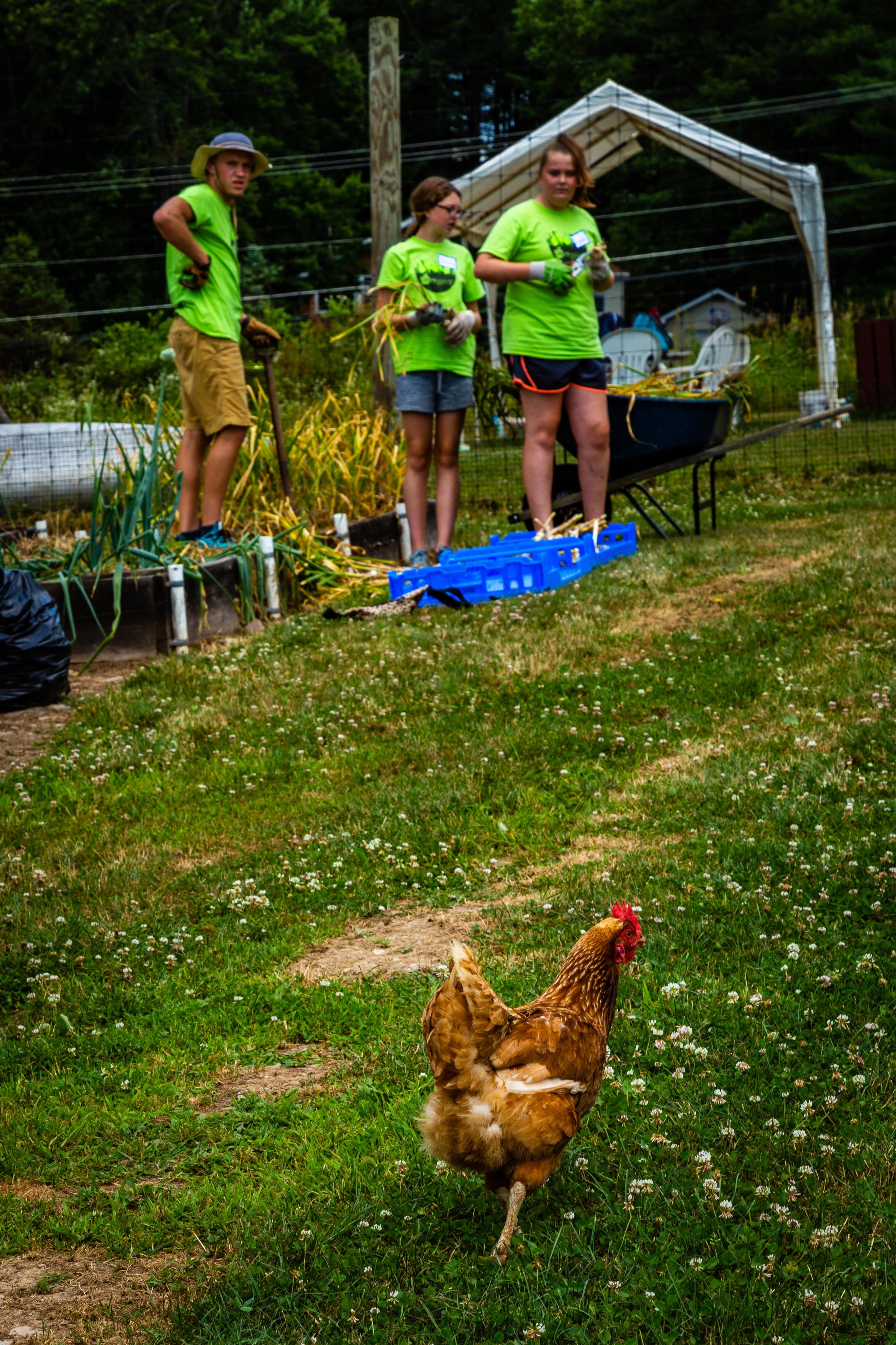 Garden of Giving-20180713-125842.jpg