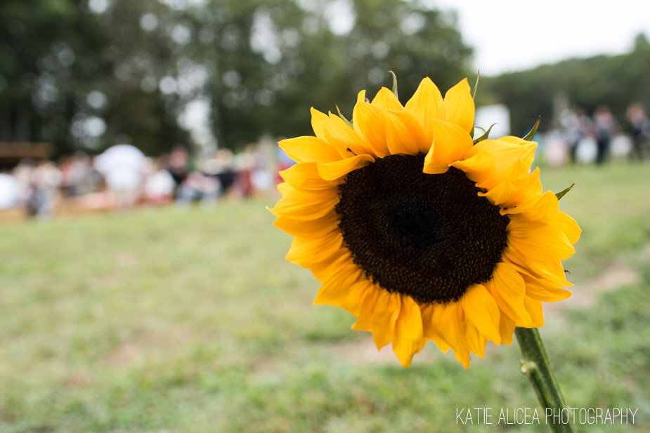FB-The Garden Of Giving-September-2019_DSC8596.jpg