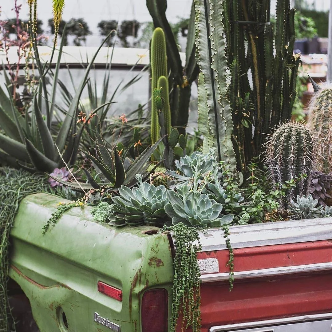 Mulhall's garden center on N 120th Street, Omaha's largest houseplant selection