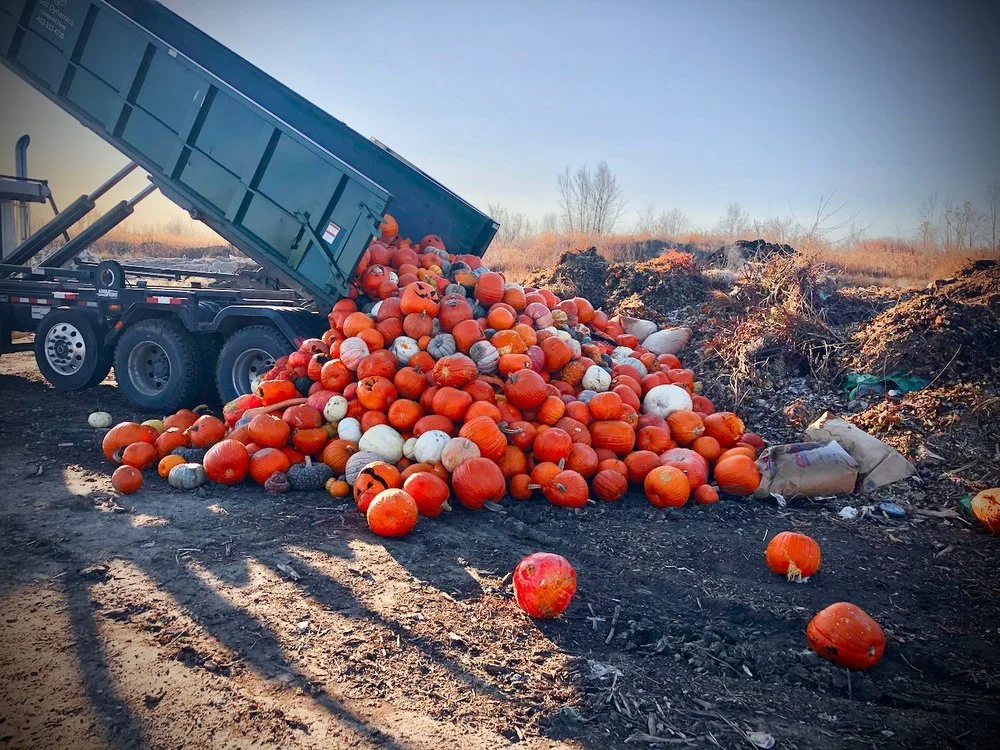 How to Host a Pumpkin Drop