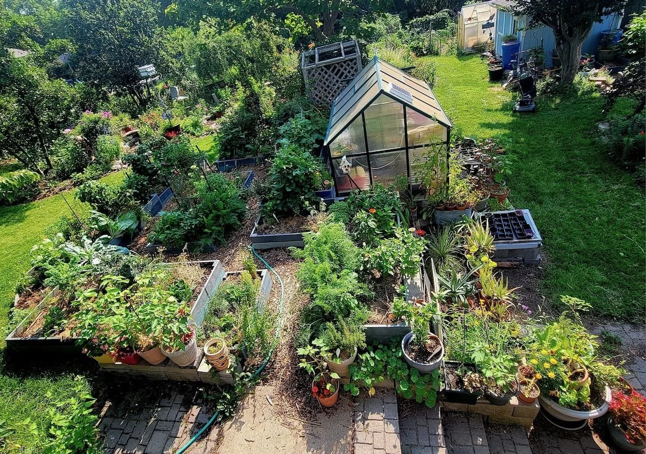 Hefty Renew Product Garden.jpeg