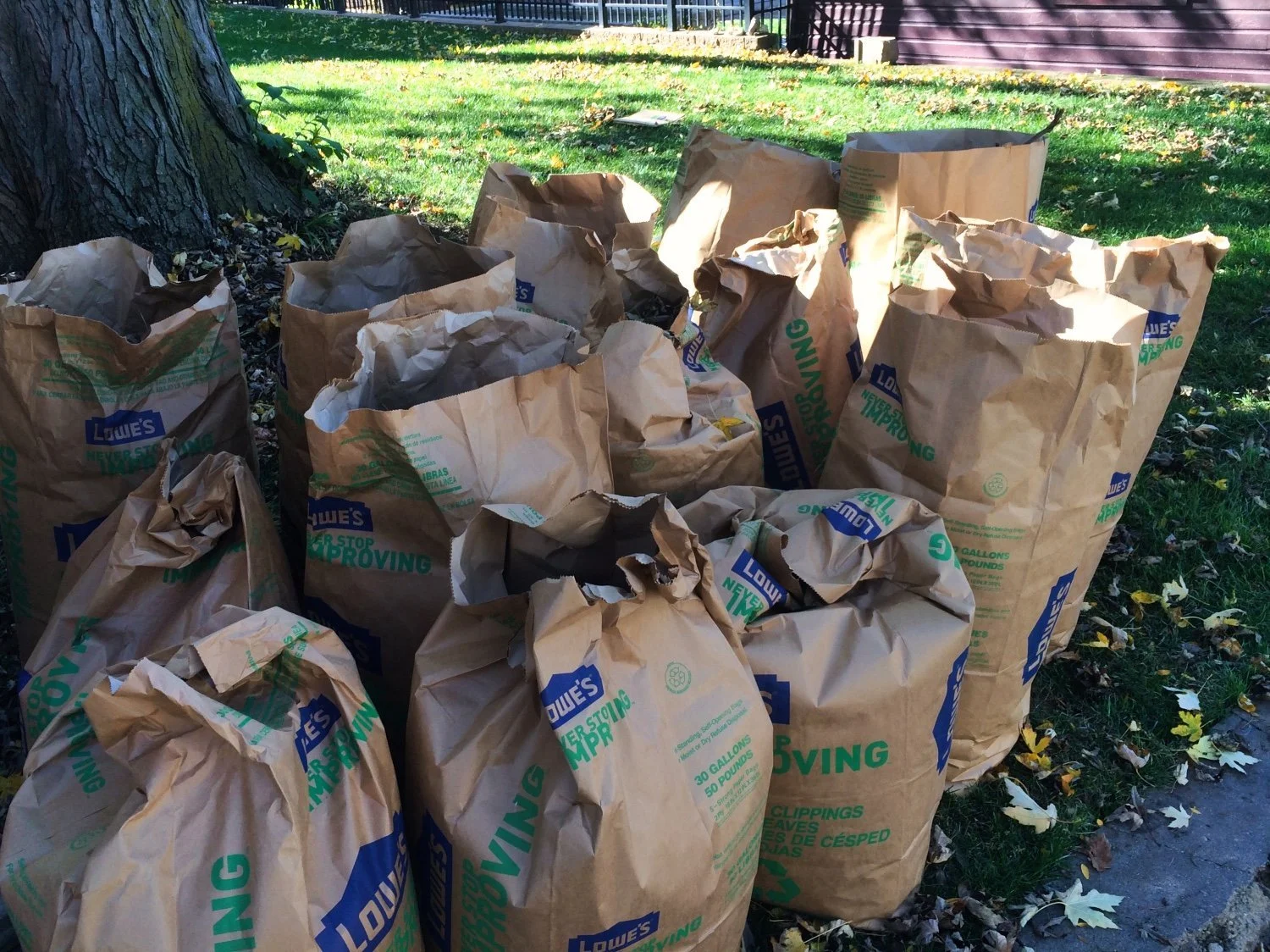 City of Omaha's Free Yard Waste Pickup: Fall 2026 Dates, Rules and What Goes in the Bag