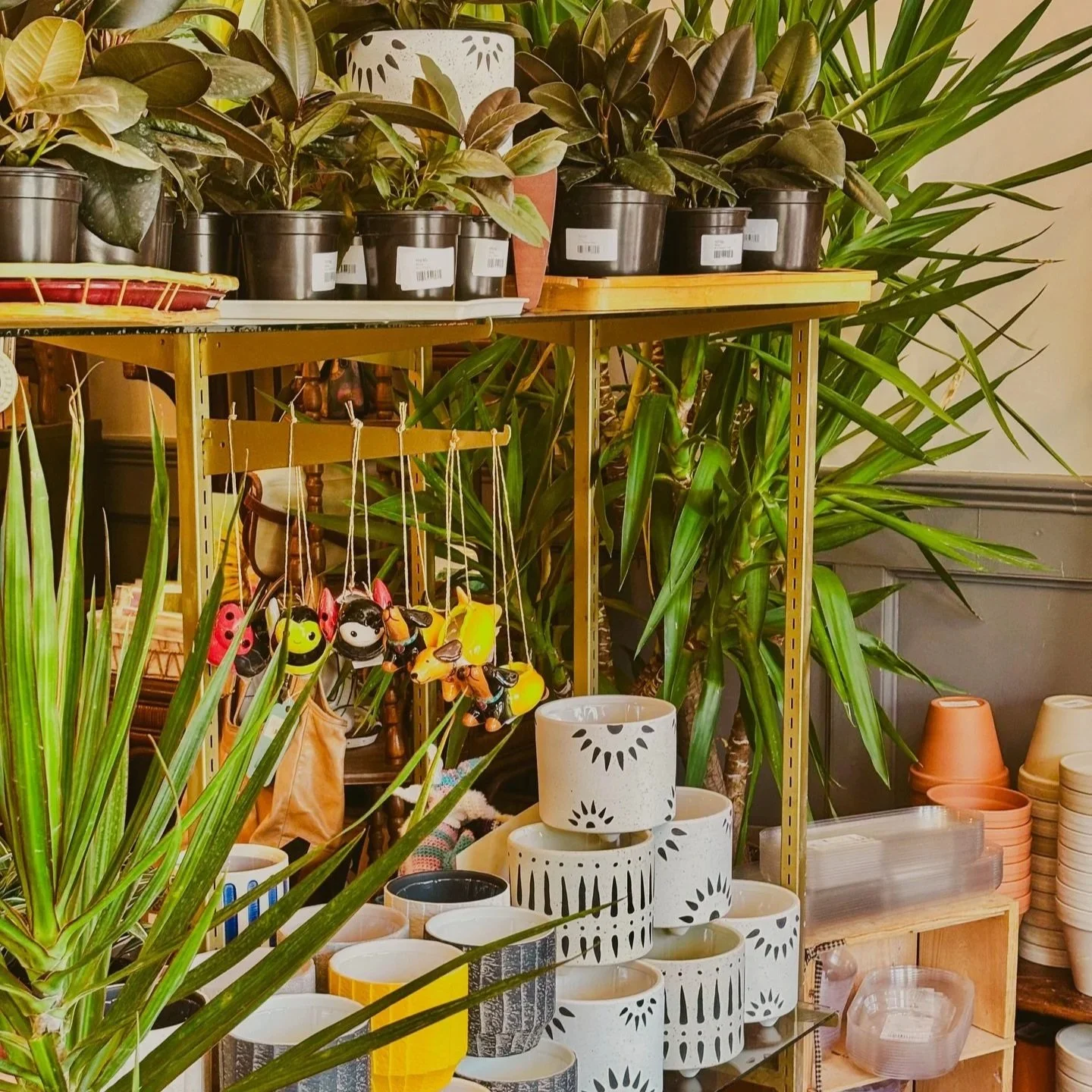 Sheelytown Market houseplant shop and makers market in Little Italy, Omaha