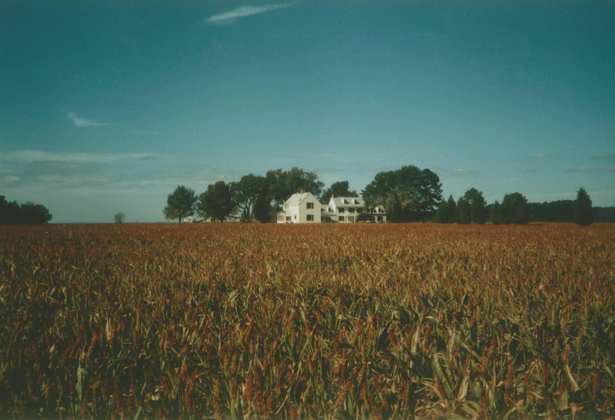 Cambridge Residence 001.jpg