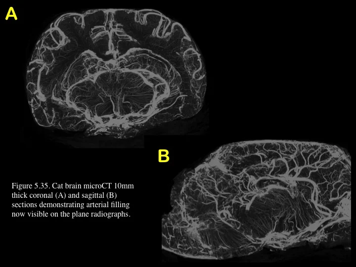 Figure 5.35.jpg
