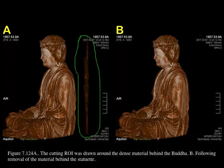 Figure 7.124.jpg