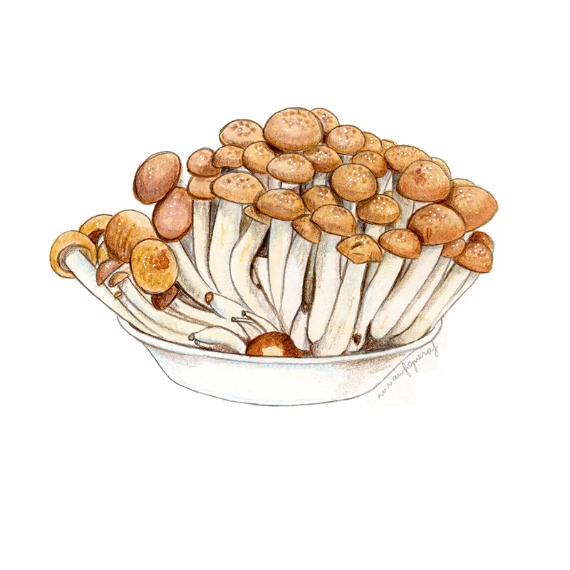 Buna-shimeji .