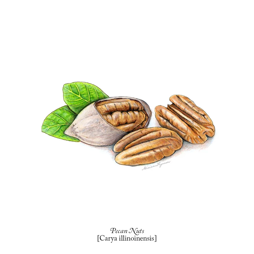 00_AllTogetherNuts_Pecans.jpg