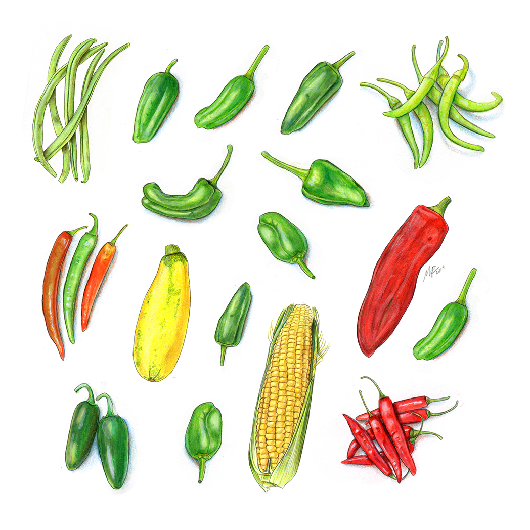 Peppers_composition_72DPI.jpg