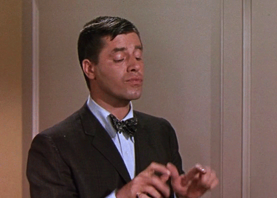 Jerry Lewis in Who's Minding the Store?