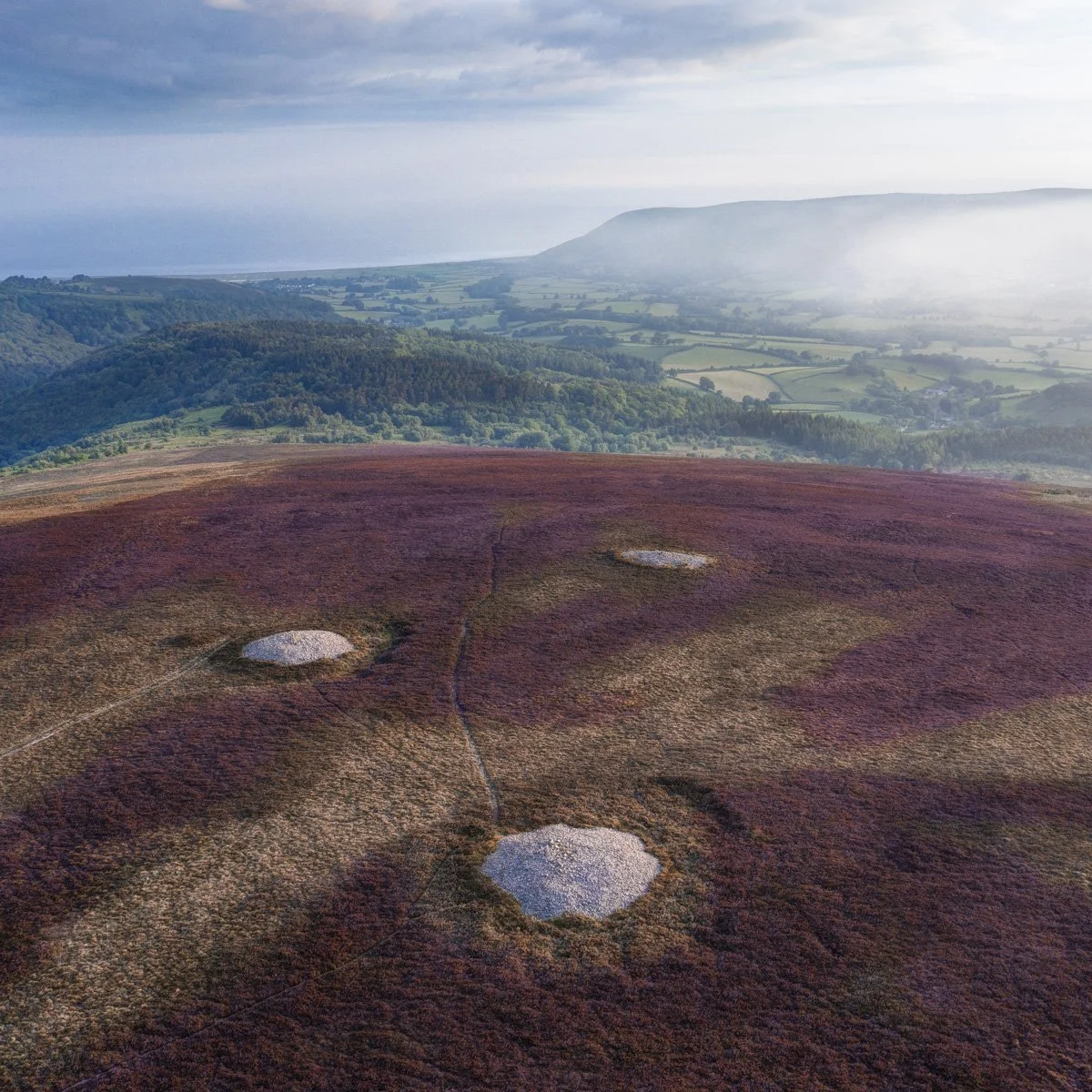 DJI_0773_4_5-2.jpg